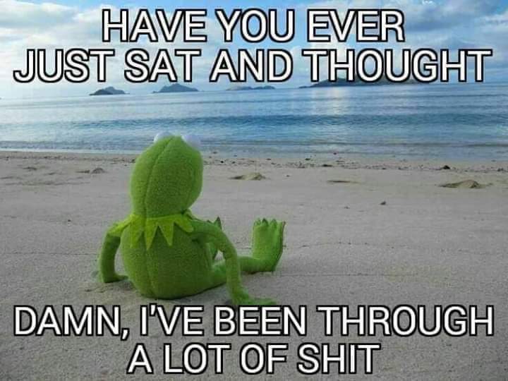The meme features Kermit the Frog sitting on a beach, looking dejected. The text above him reads "Have you ever just sat and thought" and below him, "Damn, I've been through a lot of shit and I'm still here." The image is a humorous take on the common phrase "I've been through a lot" and the idea of a character like Kermit, known for his calm and collected personality, having a moment of introspection and self-doubt.